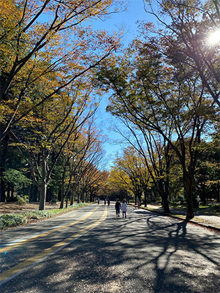 駒沢オリンピック公園